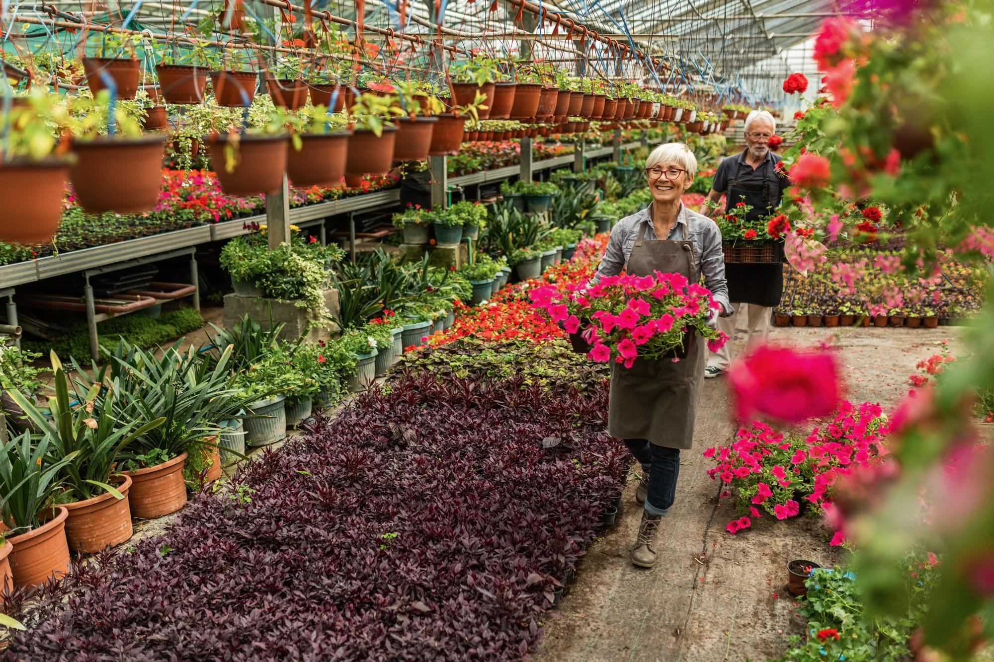 Plant Sourcing and Nursery Logistics: How to Get the Right Plants to the Right Job